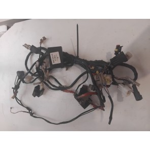 Faisceau Ride KALLIO 2T 50cc