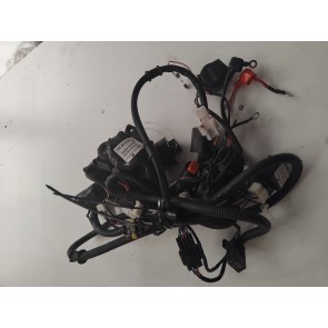 Faisceaux électrique BOSTON 10P 4T