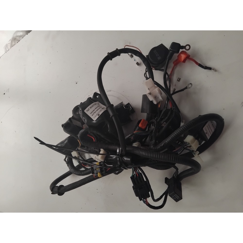 Faisceaux électrique BOSTON 10P 4T