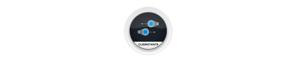 Clignotants